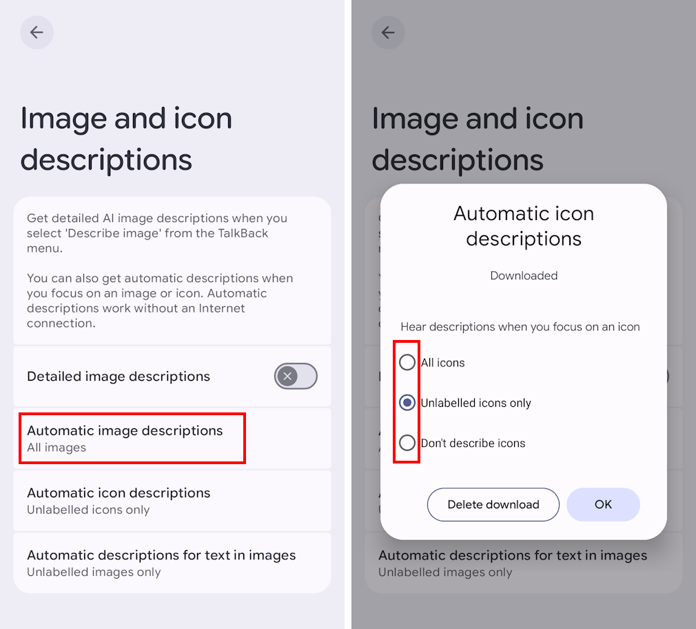Tap Automation image descriptions then All images or Unlabelled images only